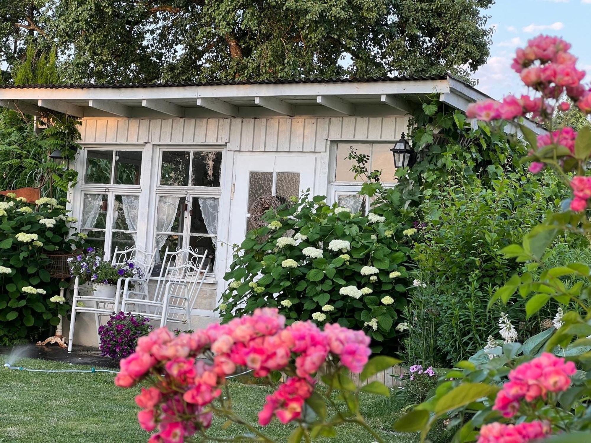 Cafe Canape, Wohlfuehlen Im Schoenen Hof Zwischen Ravensburg & Bodensee 外观 照片